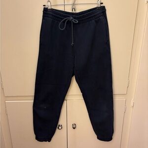 Aritzia TNA boyfriend jogger sweatpant